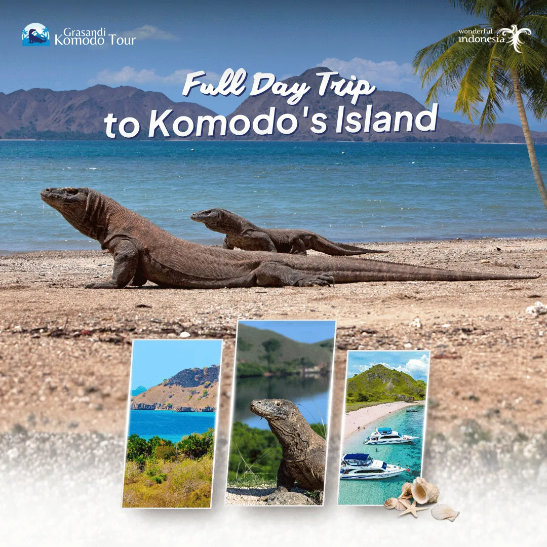 Full Day Trip to Komodo's Island